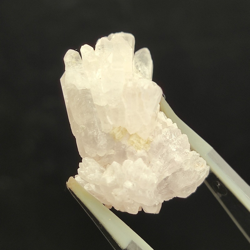 �������������ĥ��쥹����륯�����ġ����С���5.3�硡