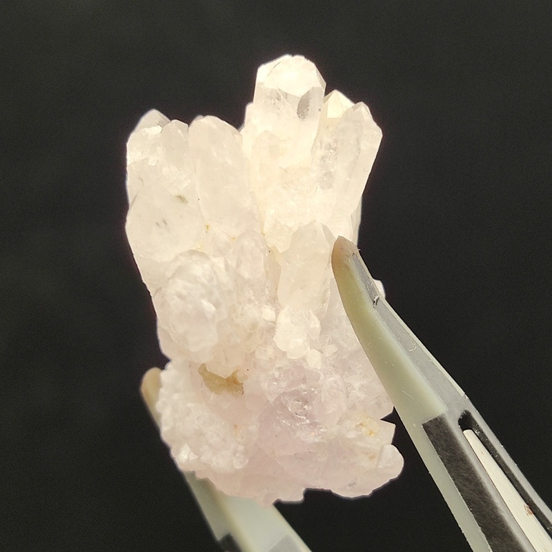 �������������ĥ��쥹����륯�����ġ����С���5.3�硡