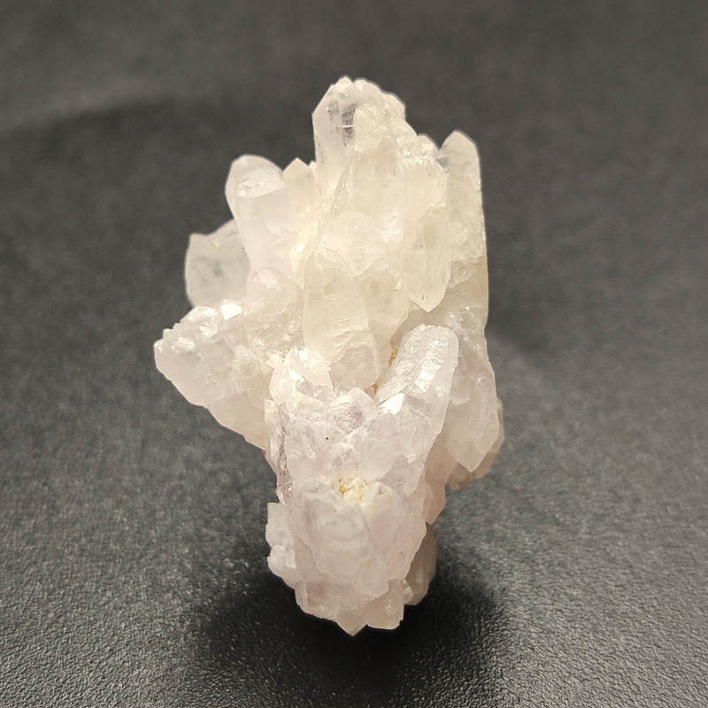 �������������ĥ��쥹����륯�����ġ����С���5.3�硡