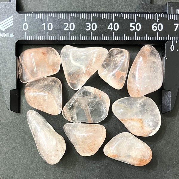 �����ò����ۥإޥ����ȥ��󥯥�����(�����)���᤭�С�1γ���