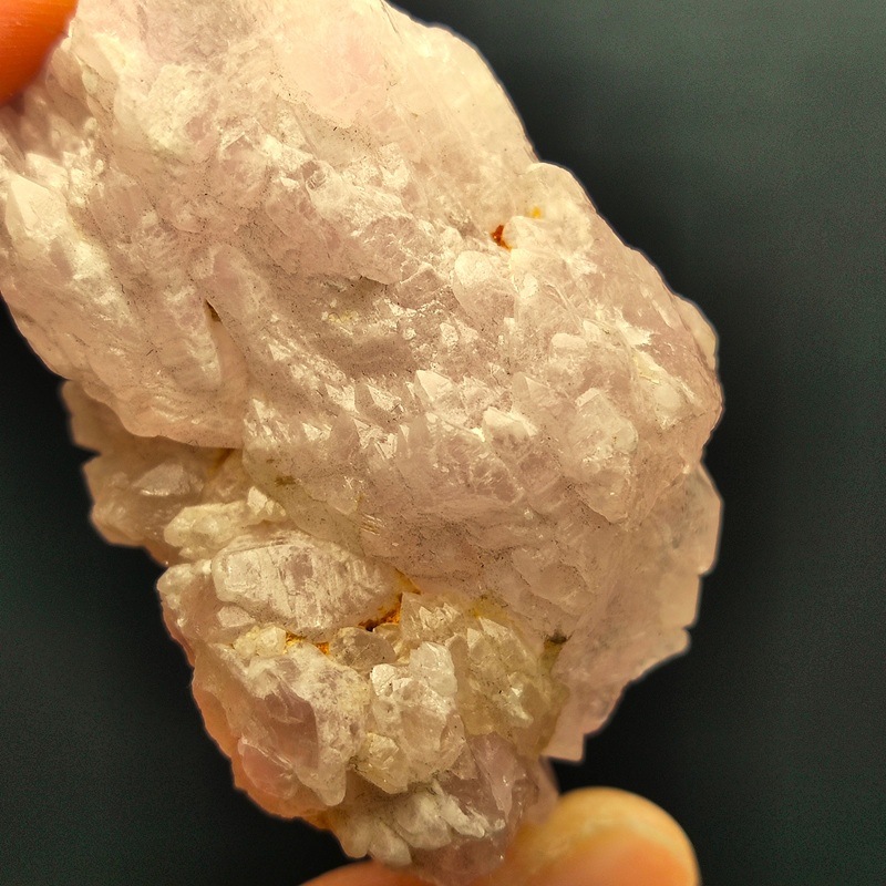 �������������ĥ��쥹����롡��42.3�硡