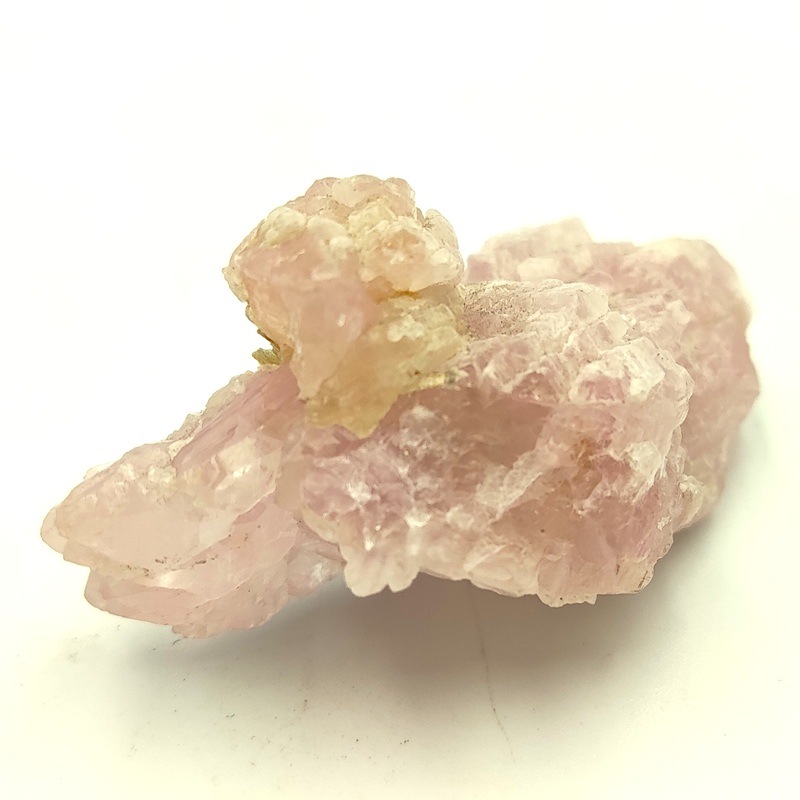 �������������ĥ��쥹����롡��42.3�硡