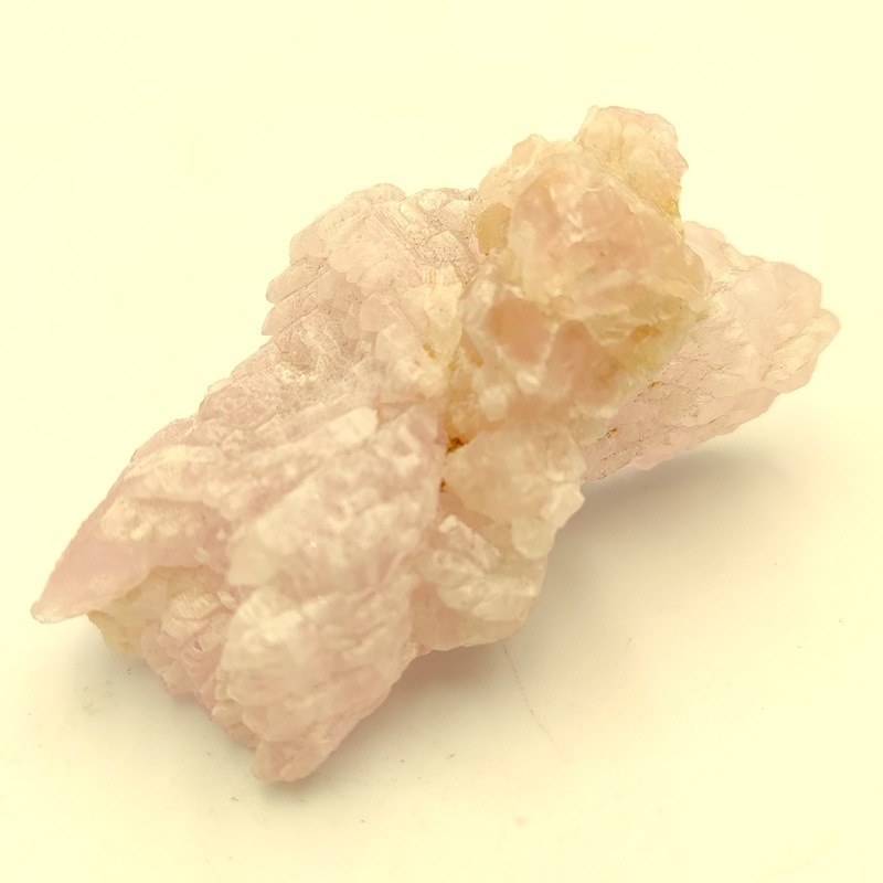 �������������ĥ��쥹����롡��42.3�硡