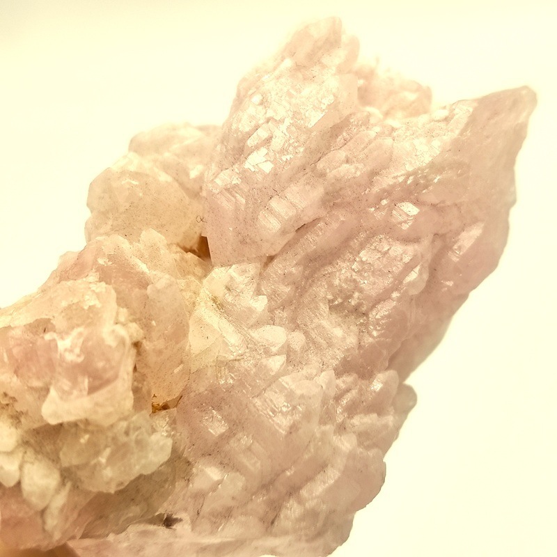 �������������ĥ��쥹����롡��42.3�硡