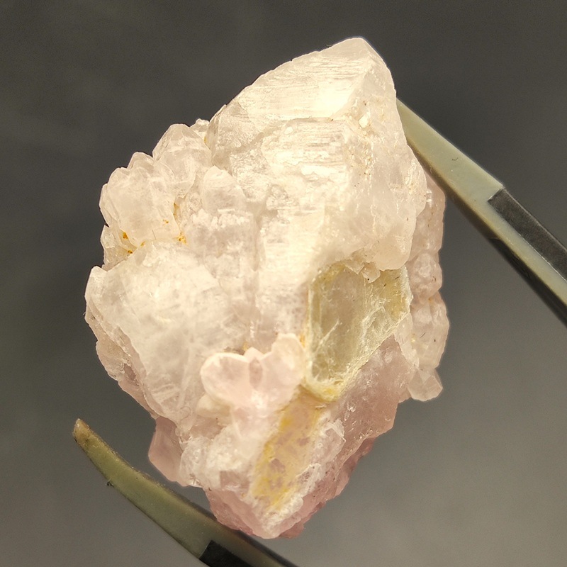 �������������ĥ��쥹����롡��10.6�硡