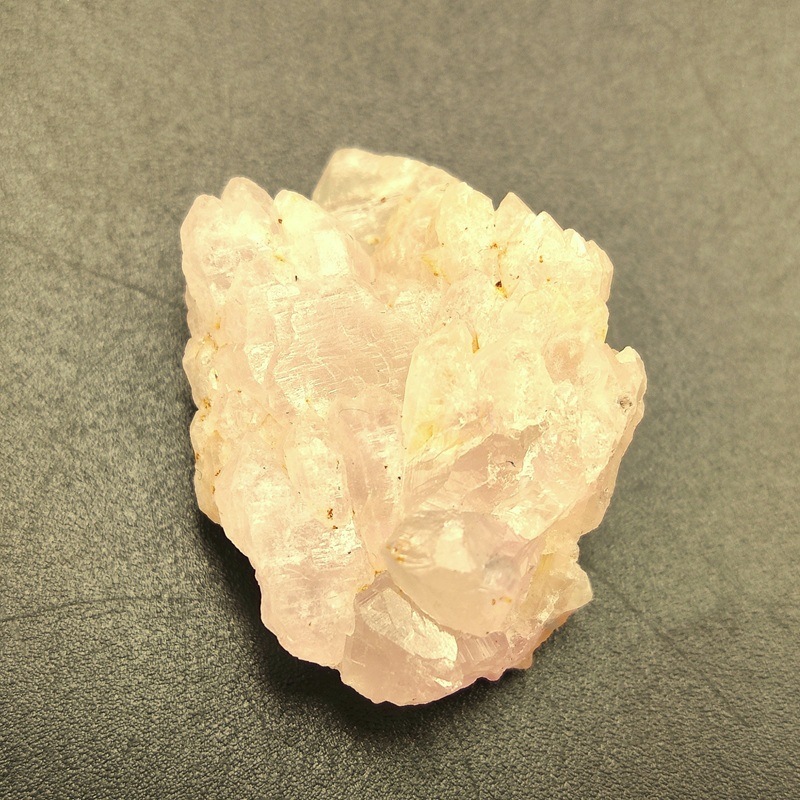 �������������ĥ��쥹����롡��10.6�硡