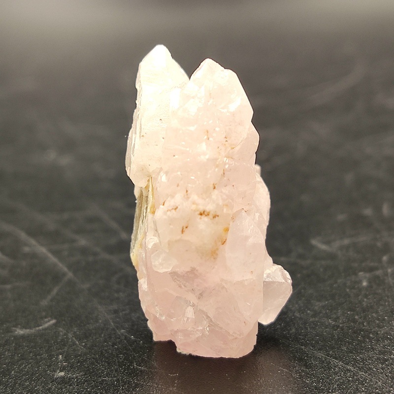 �������������ĥ��쥹����롡��10.6�硡