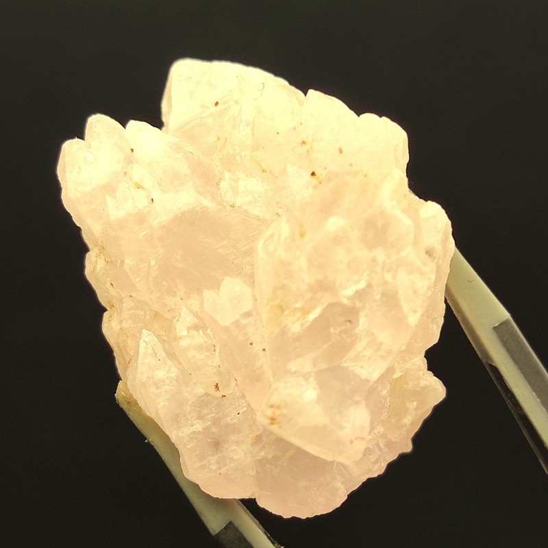 �������������ĥ��쥹����롡��10.6�硡