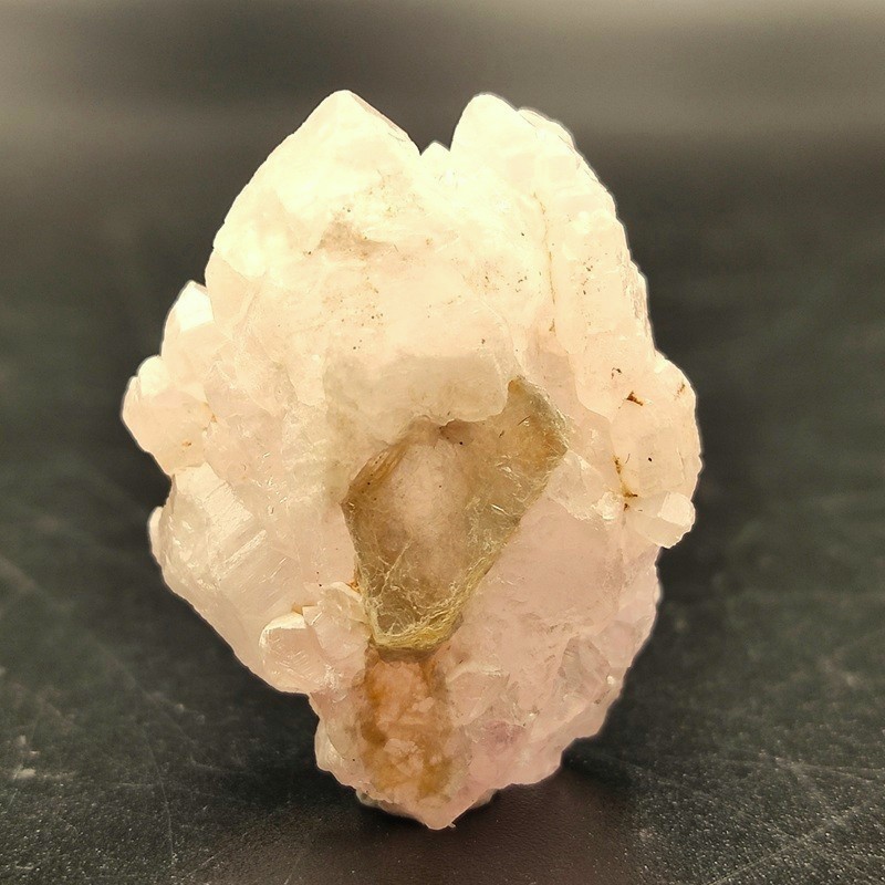 �������������ĥ��쥹����롡��10.6�硡