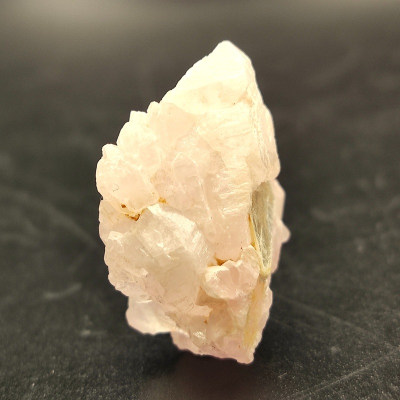 �������������ĥ��쥹����롡��10.6�硡