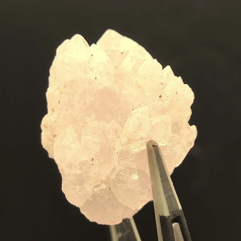 �������������ĥ��쥹����롡��10.6�硡