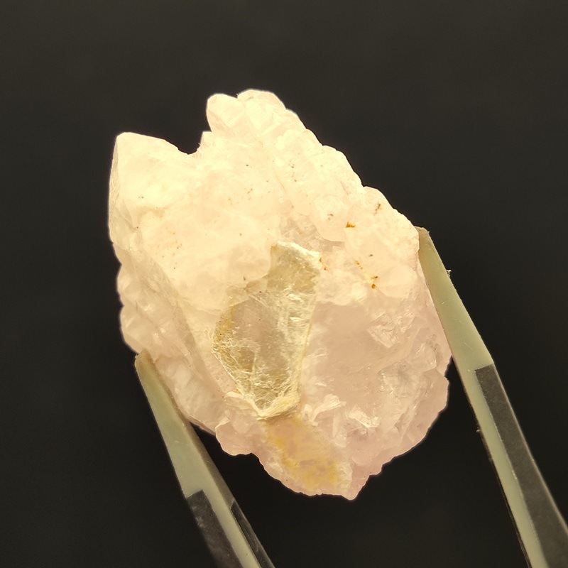 �������������ĥ��쥹����롡��10.6�硡