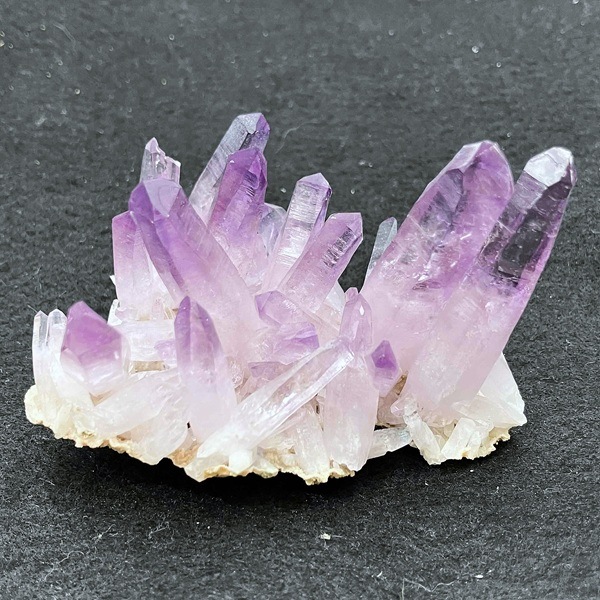 �����ʡۥ٥饯�륹���᥸���ȡ����С����饹��������91g���ᥭ��������Ź��Ʊ��������