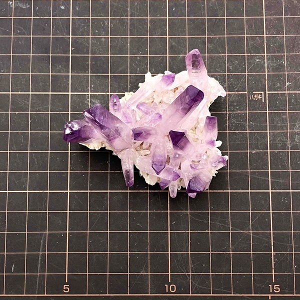 �����ʡۥ٥饯�륹���᥸���ȡ����С����饹��������91g���ᥭ��������Ź��Ʊ��������