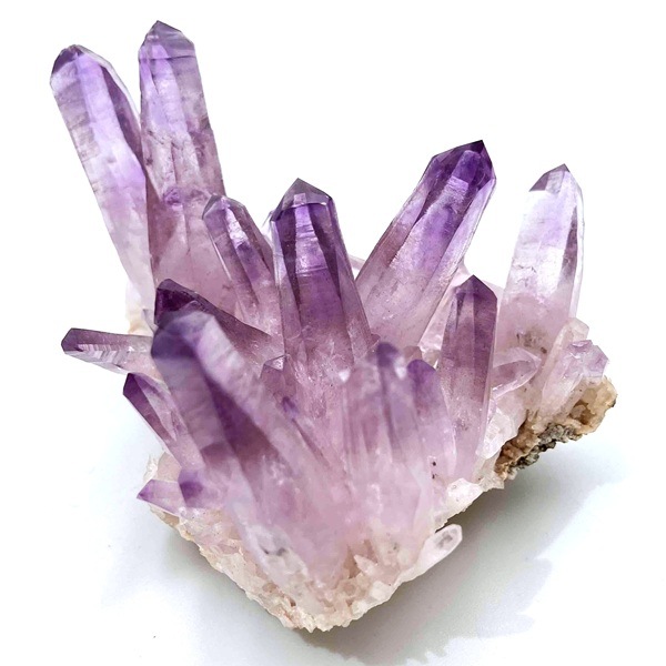 �����ʡۥ٥饯�륹���᥸���ȡ����С����饹��������91g���ᥭ��������Ź��Ʊ��������