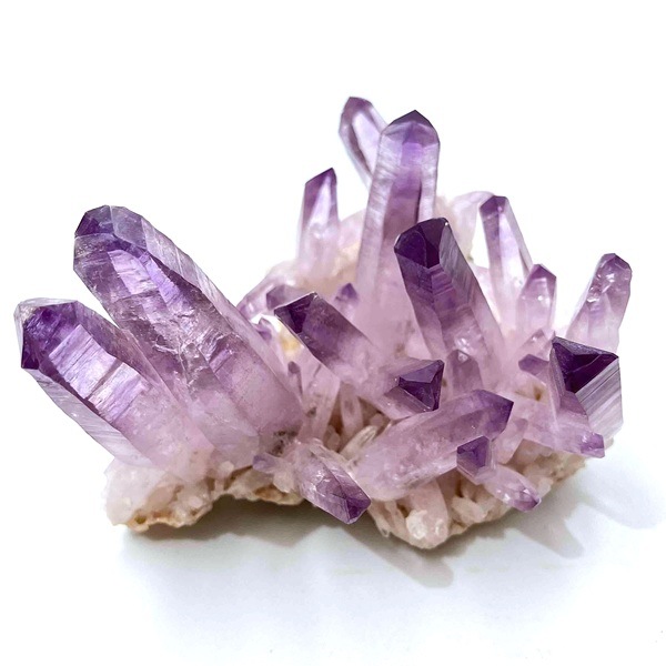 �����ʡۥ٥饯�륹���᥸���ȡ����С����饹��������91g���ᥭ��������Ź��Ʊ��������