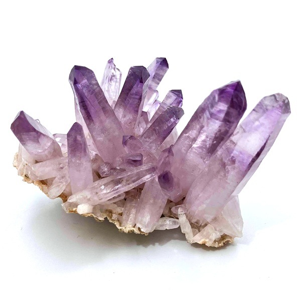 �����ʡۥ٥饯�륹���᥸���ȡ����С����饹��������91g���ᥭ��������Ź��Ʊ��������