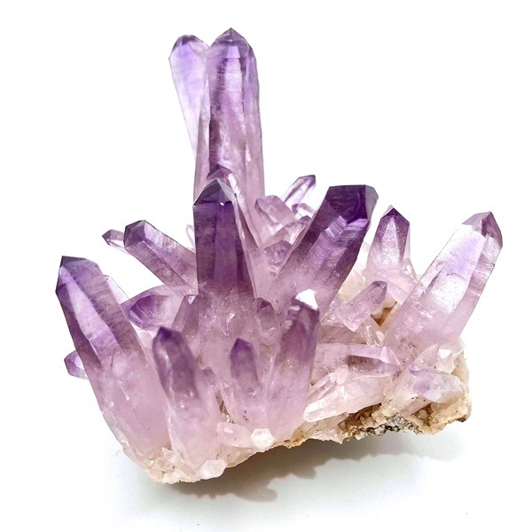 �����ʡۥ٥饯�륹���᥸���ȡ����С����饹��������91g���ᥭ��������Ź��Ʊ��������