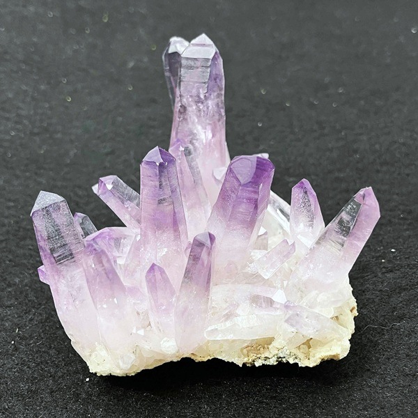 �����ʡۥ٥饯�륹���᥸���ȡ����С����饹��������91g���ᥭ��������Ź��Ʊ��������