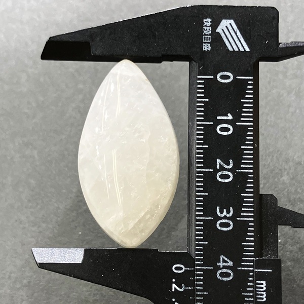 ���������ʥȥ��饤�ȡ����ܥ����롼�����ѷ��ɥ��å�(�꡼�շ�)����35ct��1��ʪ