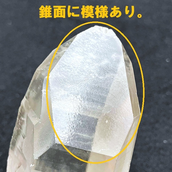 ���⡼�������ꥢ�󥷡��ɿ徽���֥饸�뻺���С������ɡ�No.44