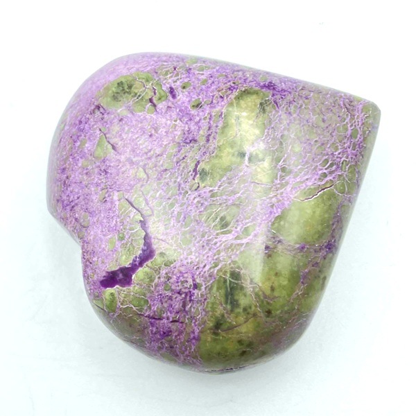 �ڥ쥢���ۥ��ƥ��ҥ�����  �ϡ��ȷ�����5.5cm��1��ʪ