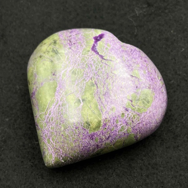 �ڥ쥢���ۥ��ƥ��ҥ�����  �ϡ��ȷ�����5.5cm��1��ʪ