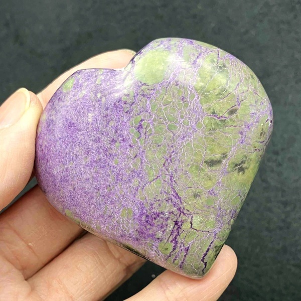 �ڥ쥢���ۥ��ƥ��ҥ�����  �ϡ��ȷ�����5.5cm��1��ʪ