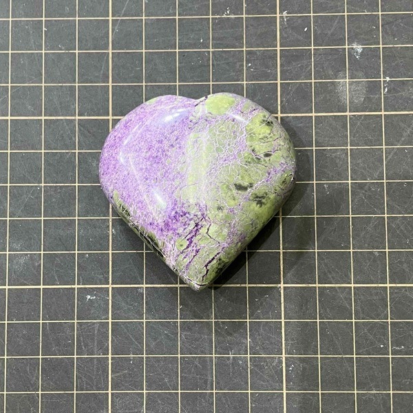 �ڥ쥢���ۥ��ƥ��ҥ�����  �ϡ��ȷ�����5.5cm��1��ʪ