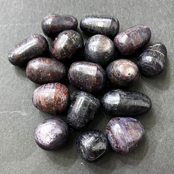 �����ò����ۥ�������(��������ӡ�)���᤭�С�����֥롡1�����