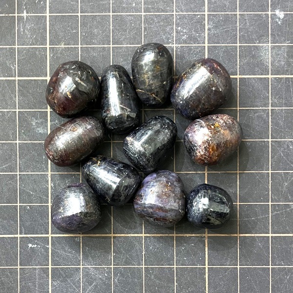 �����ò����ۥ�������(��������ӡ�)���᤭�С�����֥롡1�����