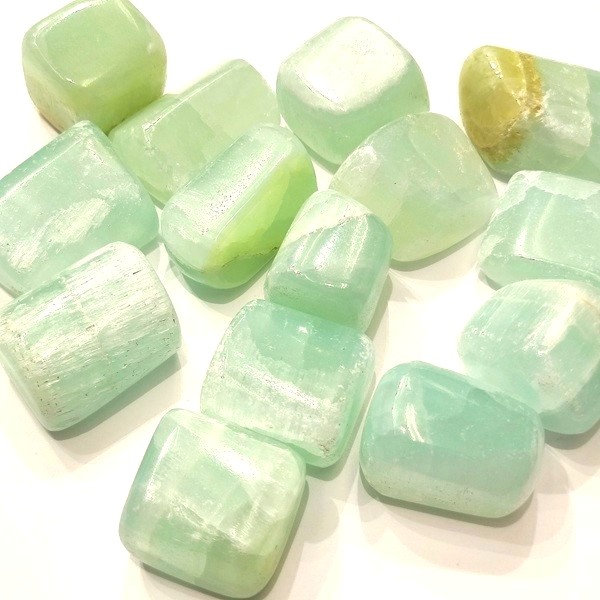 �ڻĤ�鷺�����ۥԥ����������륵���ȡ��᤭�С�1����ꡡ13g��