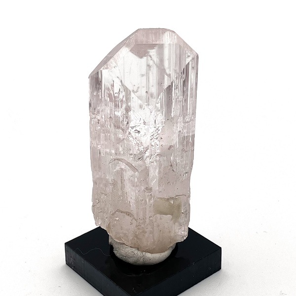 �ڹ��ʼ����ۥᥭ�������ԥ󥯥���ӥ�饤�ȸ��С�����ʪ