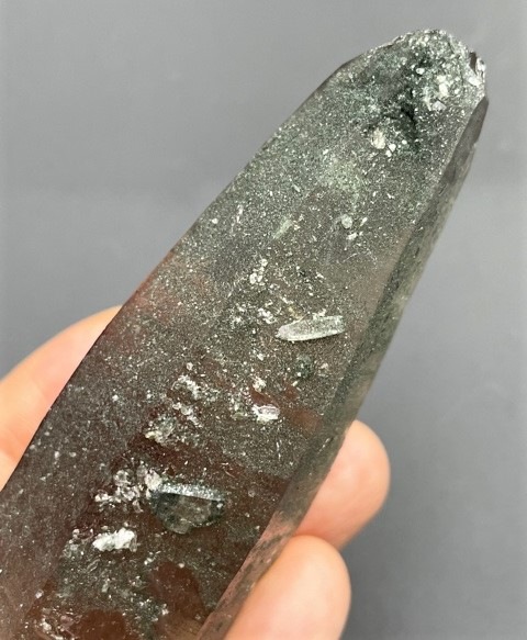 �ڴ������ۡ��������徽��117.8g��Ź��Ʊ��������