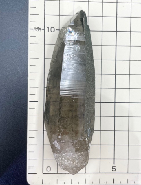 �ڴ������ۡ��������徽��117.8g��Ź��Ʊ��������