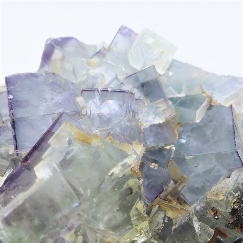 �ե����饤�ȡ����С�������(�ϥʥ�)������512g