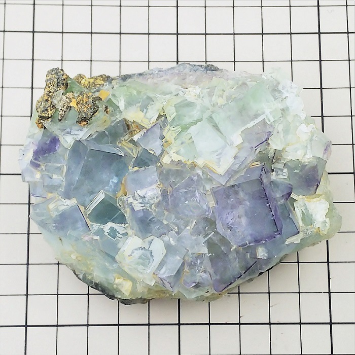�ե����饤�ȡ����С�������(�ϥʥ�)������512g