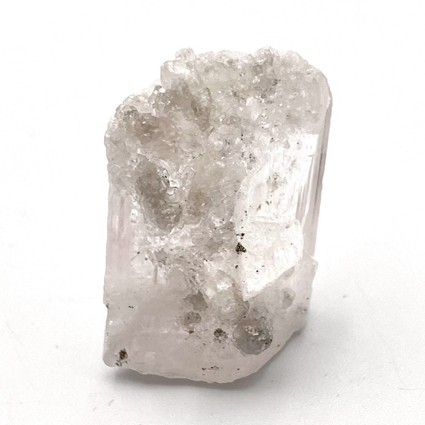 �ڹ��ʼ������륵�����դ����ۥᥭ�������ԥ󥯥���ӥ�饤�ȸ��С�����ʪ