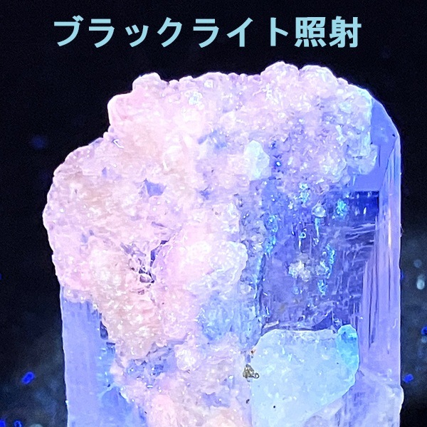 �ڹ��ʼ������륵�����դ����ۥᥭ�������ԥ󥯥���ӥ�饤�ȸ��С�����ʪ