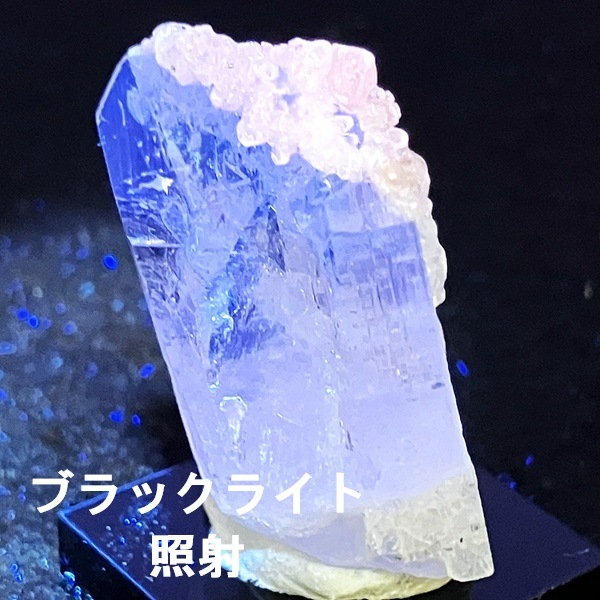 �ڹ��ʼ������륵�����դ����ۥᥭ�������ԥ󥯥���ӥ�饤�ȸ��С�����ʪ