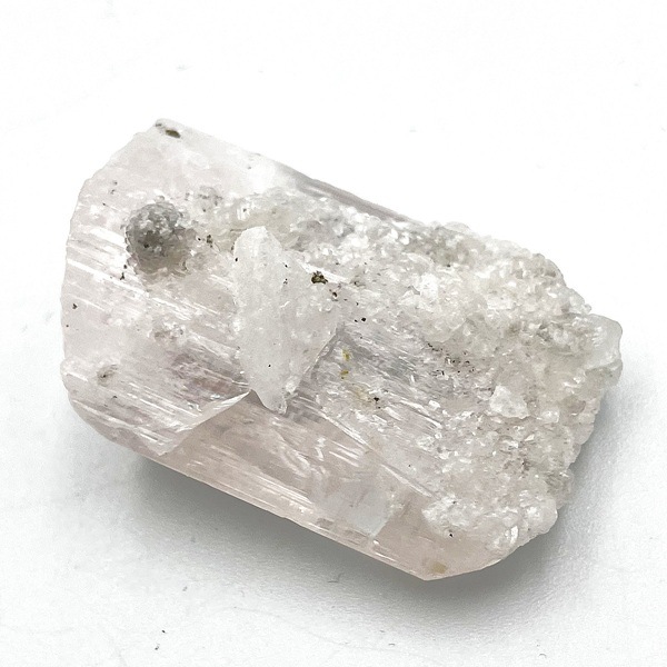 �ڹ��ʼ������륵�����դ����ۥᥭ�������ԥ󥯥���ӥ�饤�ȸ��С�����ʪ