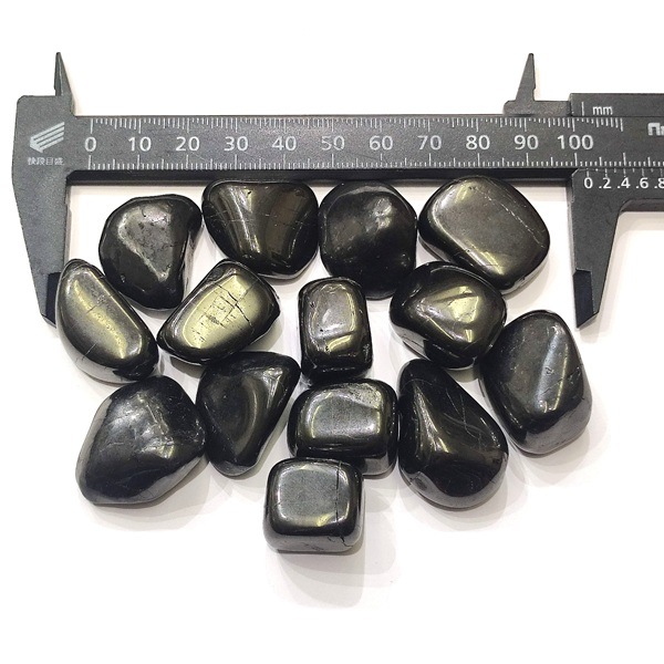 ����󥬥��ȡ��᤭�С�1����ꡡ