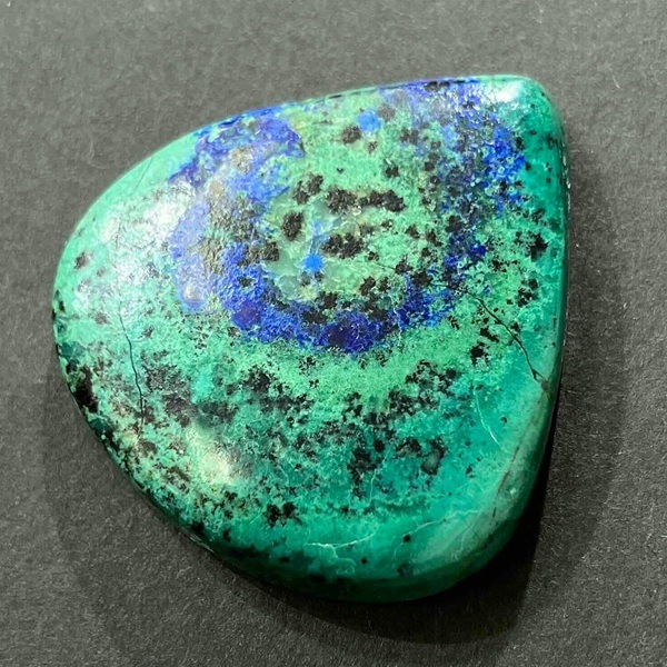 �����饤�ȥޥ饫���ȡ�31mm�����ܥ����ŷ���Х롼����1��ʪ