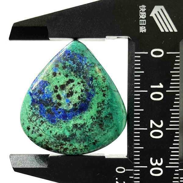 �����饤�ȥޥ饫���ȡ�31mm�����ܥ����ŷ���Х롼����1��ʪ