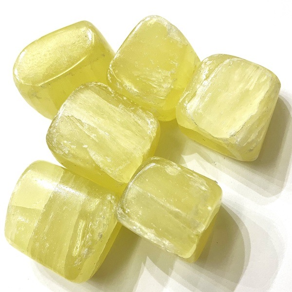 �ڿ��̸��ꡪ�ۥ����������륵���ȡ��᤭�С�1����ꡡ15g��