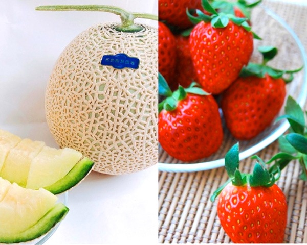 電解水で育てた】マスクメロンといちごのセット