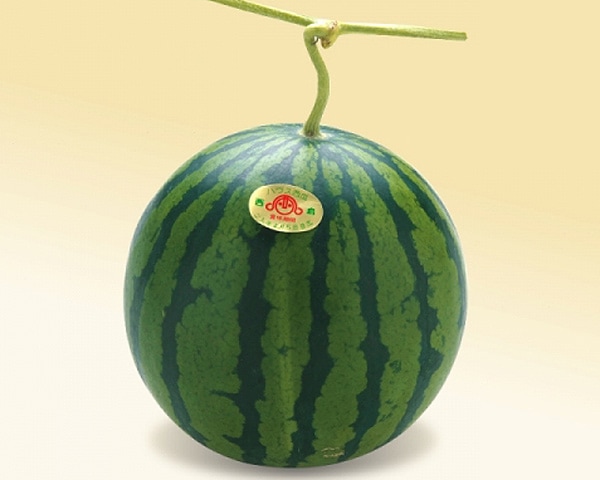 ŲǰƤ۾̥1