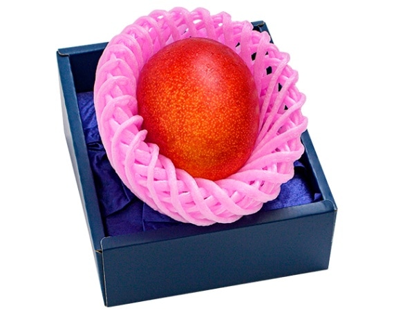 智美さん専用マンゴー16 アップルマンゴー（1個入）