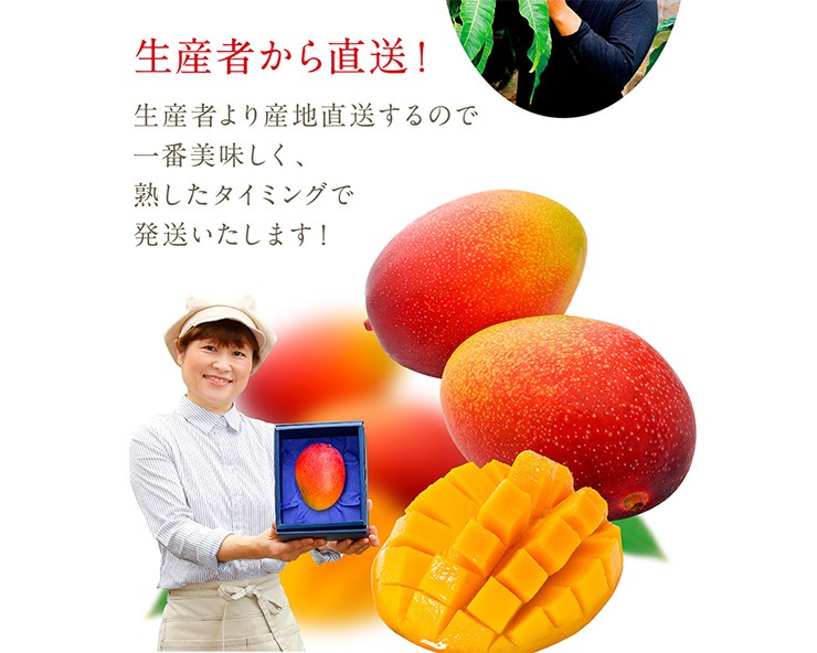 ŲǰƤۥåץޥ󥴡2ġ3