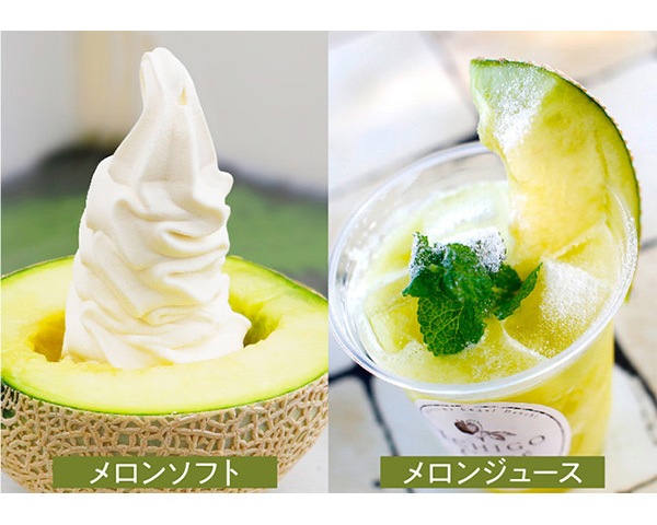 マスクメロン（1個入）